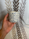 blue bloopy cup dos