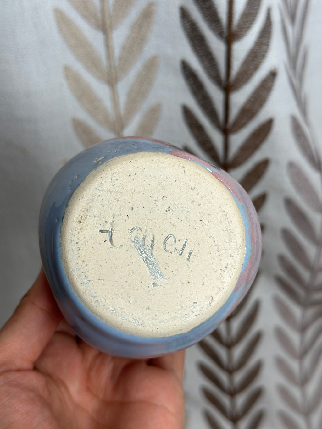santa cruz comfy cup