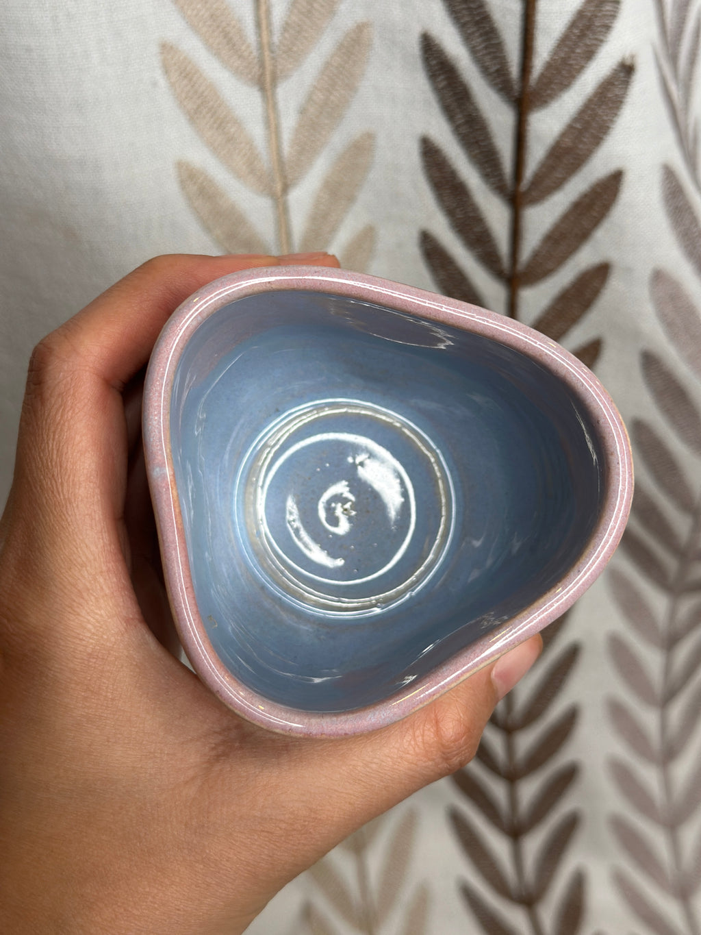 santa cruz comfy cup