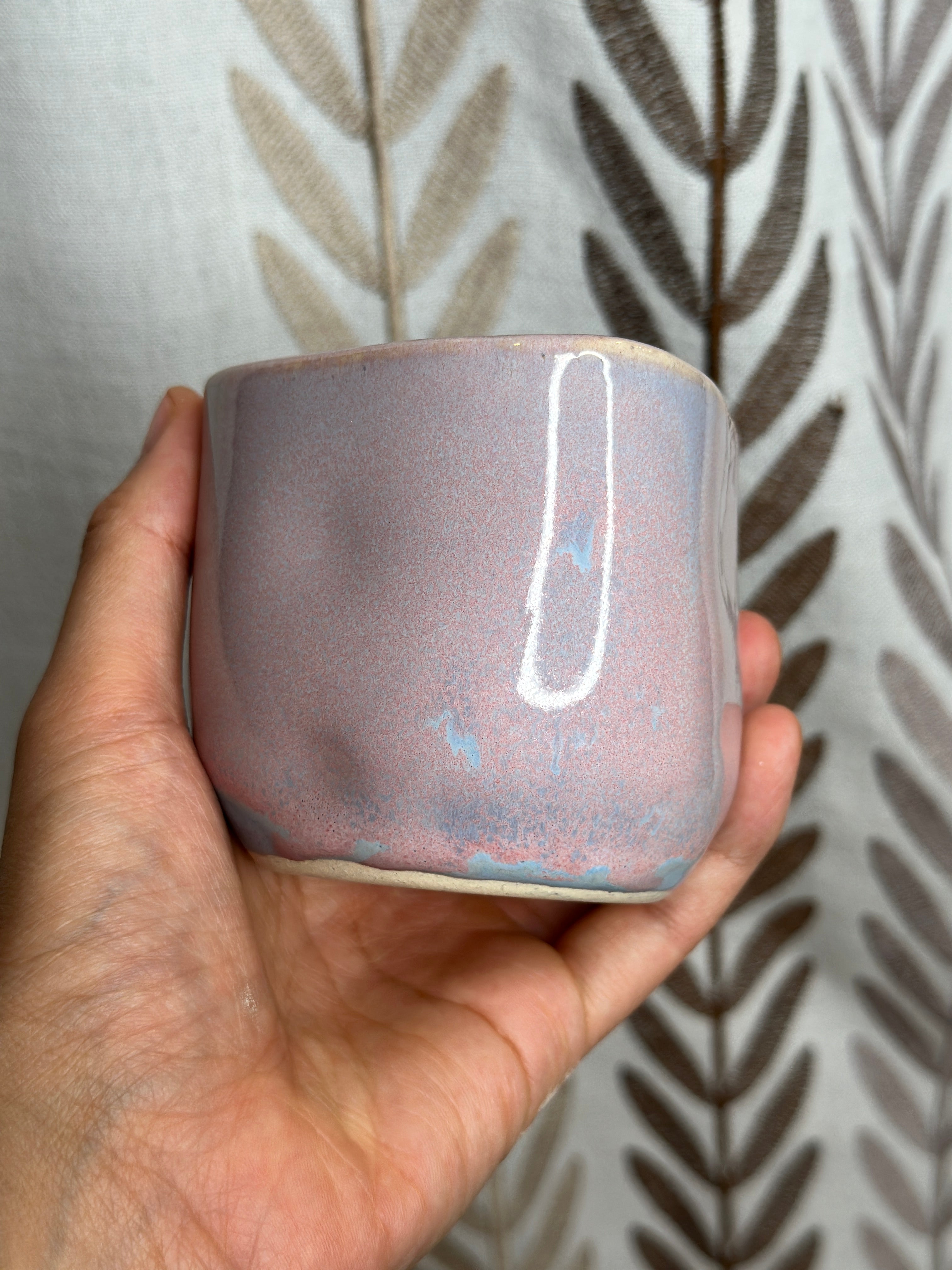 santa cruz comfy cup