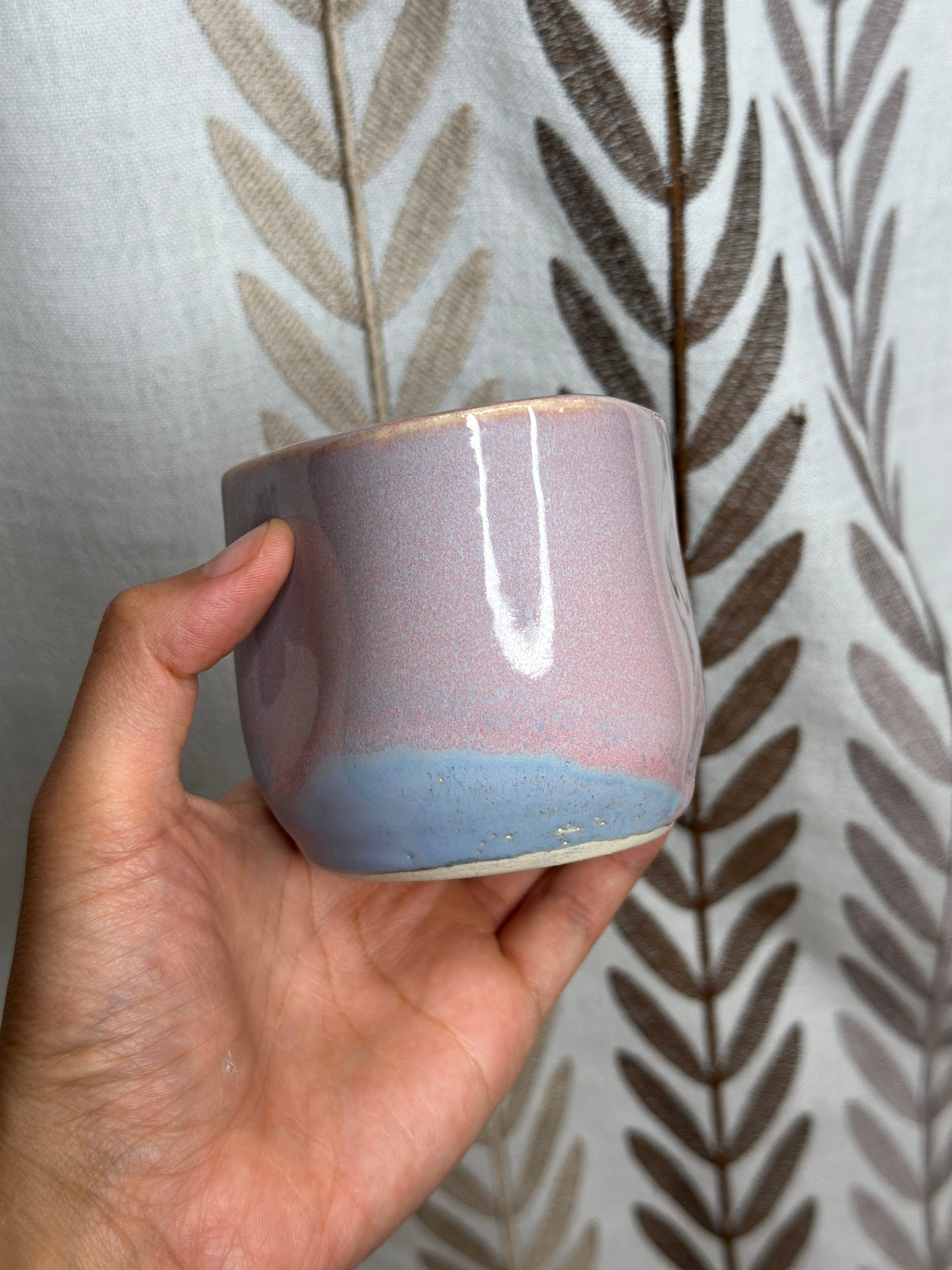santa cruz comfy cup