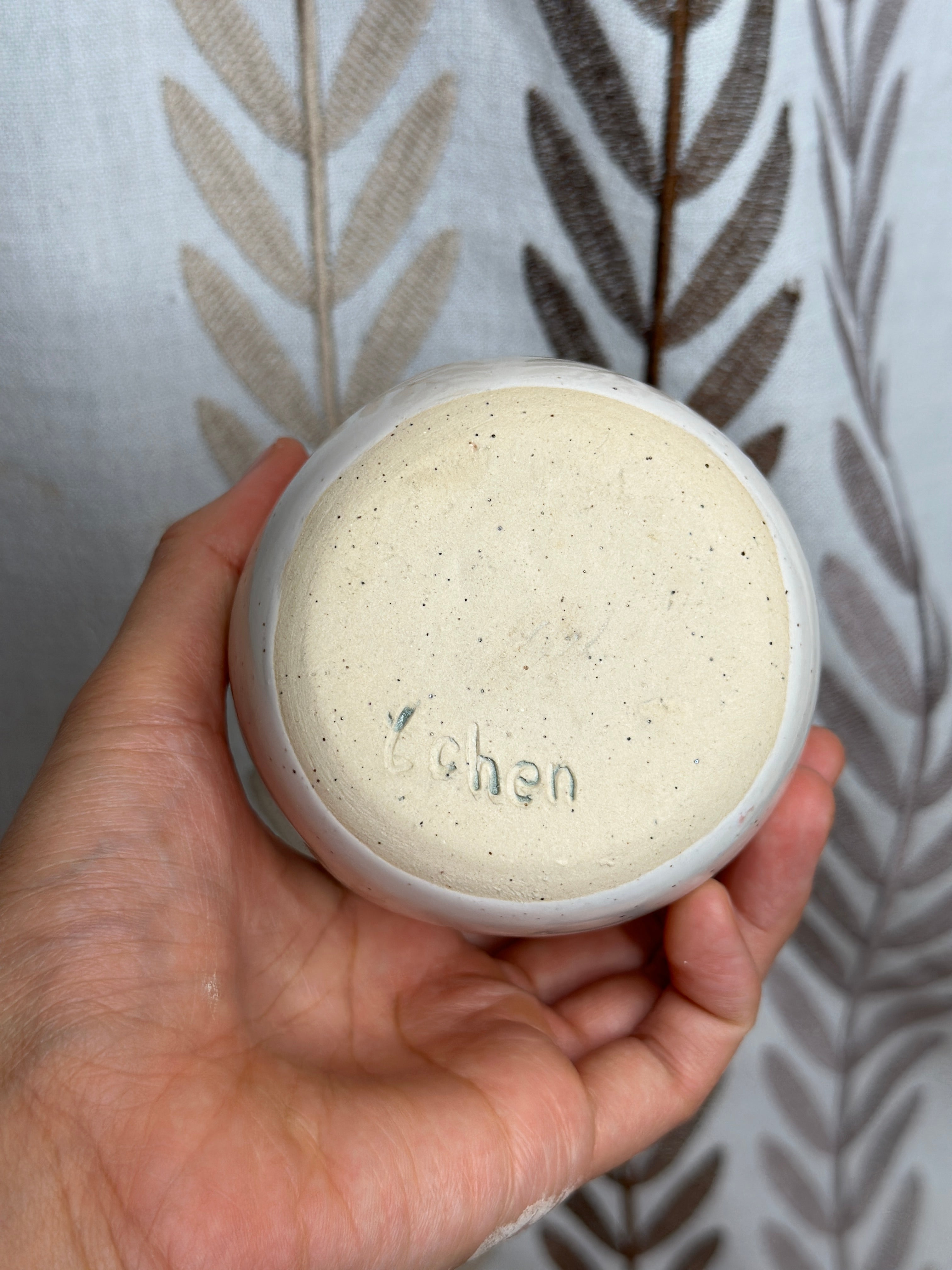 niigata comfy cup