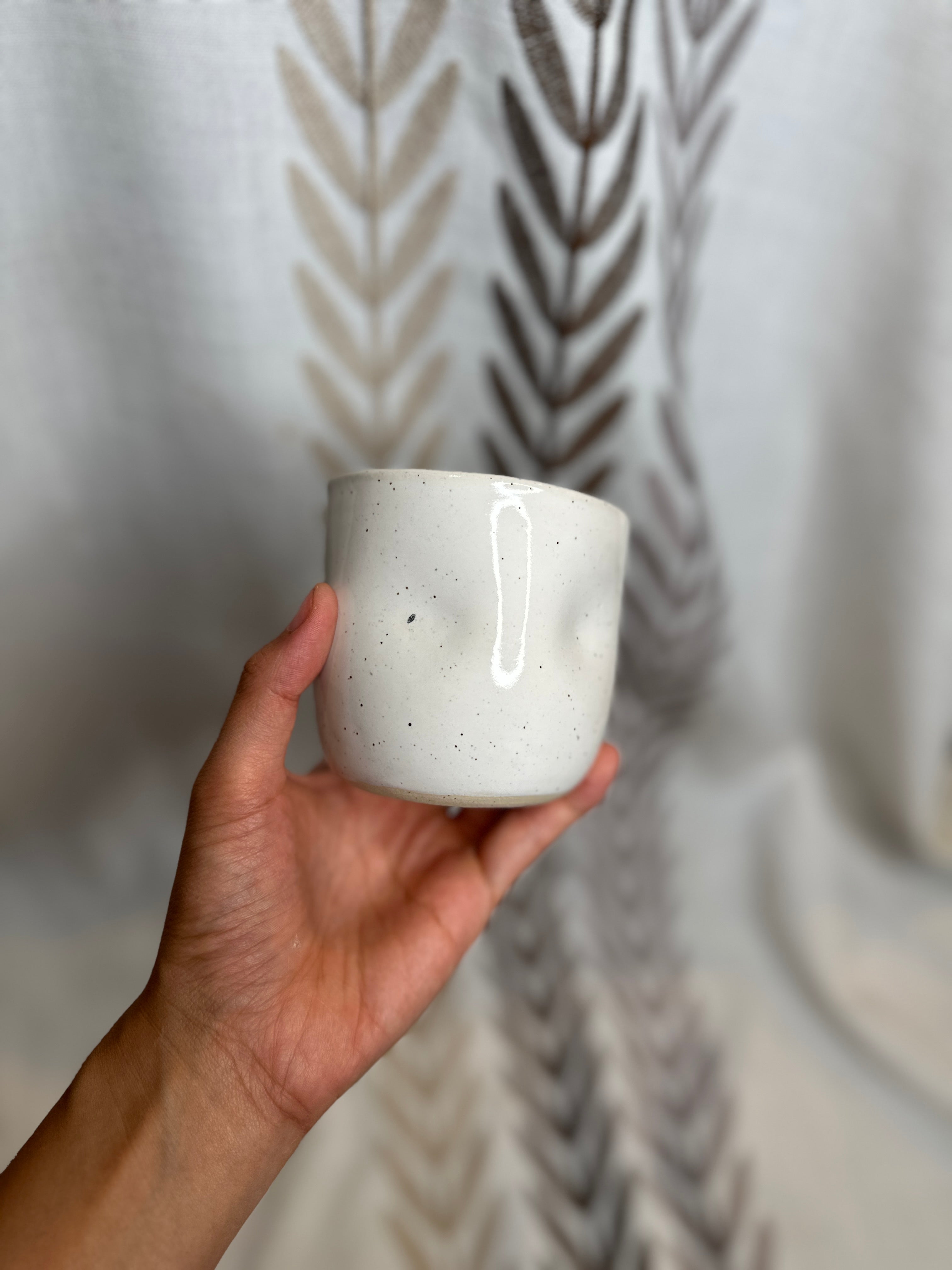 niigata comfy cup
