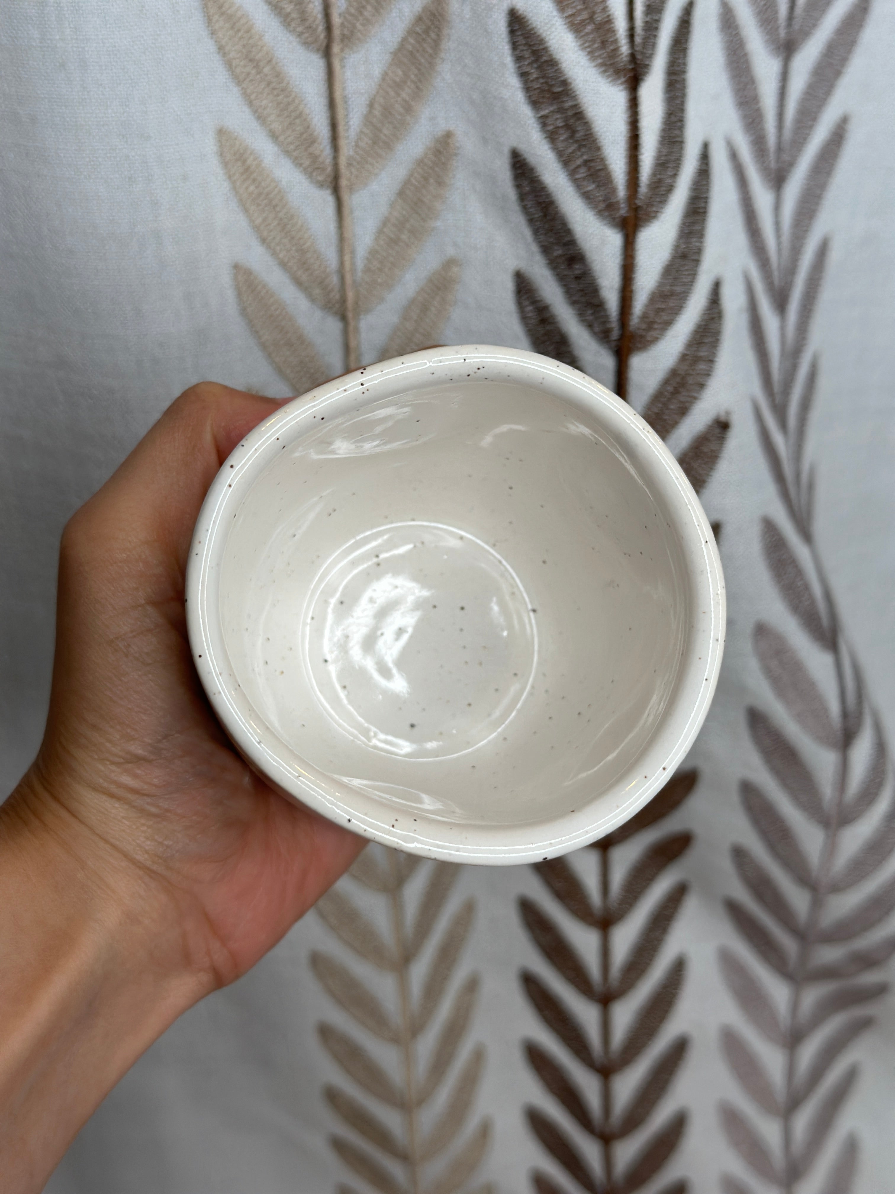 niigata comfy cup